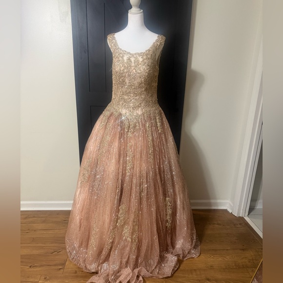 Barbara LoPink & Gold Embroidered Quinceañera / Sweet 16 Ball Gown Size 6